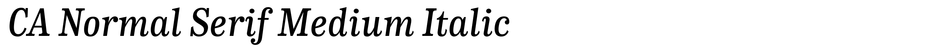 CA Normal Serif Medium Italic